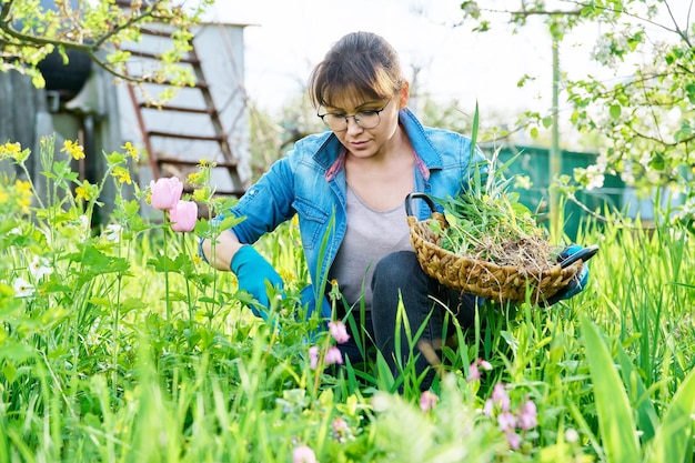 Woman in gloves with shovel weeding spring flower bed from weeds