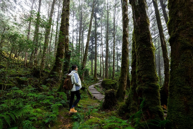 Woman go hiking over the forest