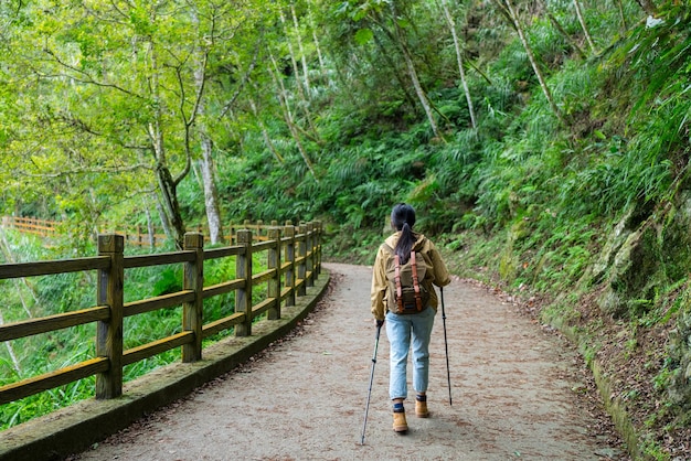 Woman go hiking and walk along the trail