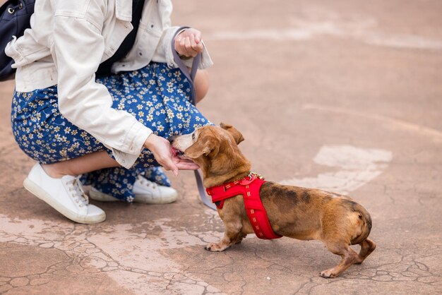 Woman go out with her dog at park