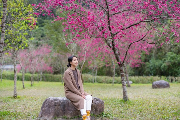 Woman go to sakura tree park garden