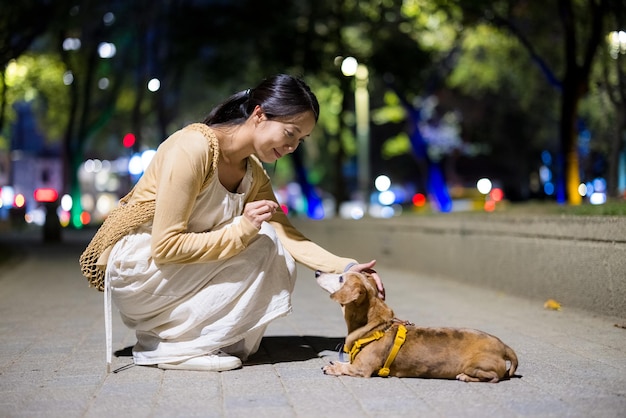 女性が夜に犬と散歩に行く