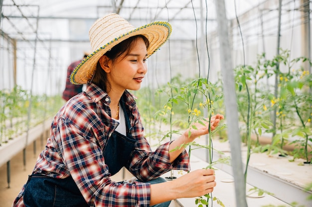 温室の女性 起業家で飼い主は トマトの植物の品質をチェックし 現代技術を使用して 最適な成長とケアを確保し 野菜農場の環境で幸せを示しています