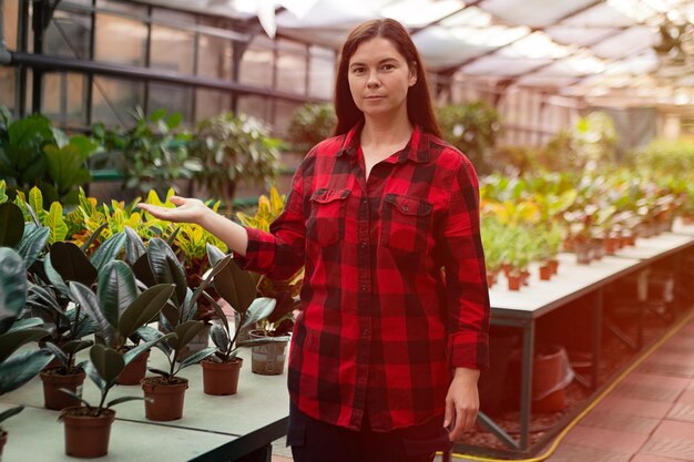 Woman in the greenhouse near the plants in potsConcept of choosing home plantssunlight on background