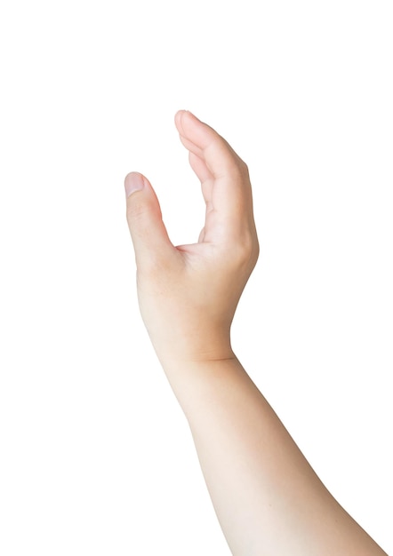 Женский жест руки, держащий что-то изолированное на белом фоне