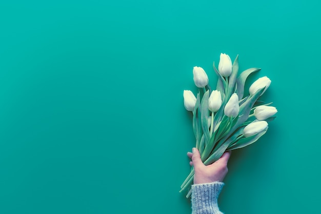 Woman hand hold bunch of white tulips, mint green paper. Spring flat lay, top view with copy-space, text space. Mothers day, international women day March 8, birthday, anniversary greeting background.