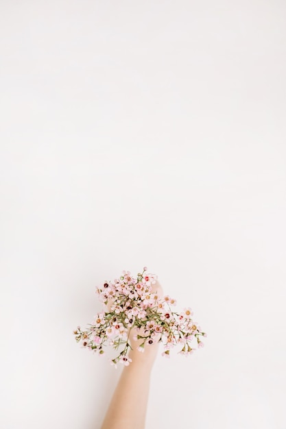 Woman hand hold wild flowers. Flat lay, top view spring background