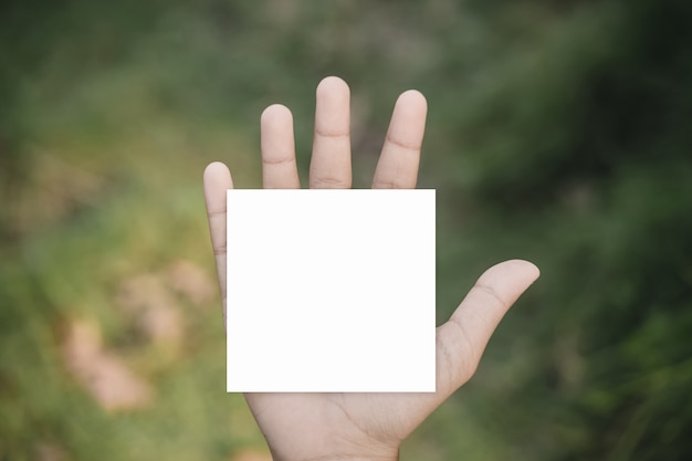 Woman hand holding blank paper on nature.