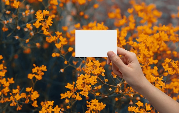 Woman hand holding card