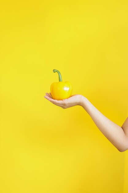 Woman hand holding fresh yellow bell pepper on yellow background Fresh vegetable for healthy food