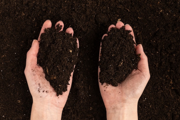 Woman hand holding ground. Top view.