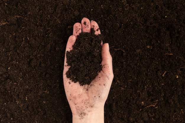 Woman hand holding ground. Top view.