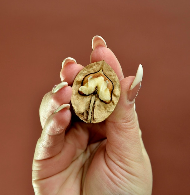 Женщина держит в руке половинки грецкого ореха