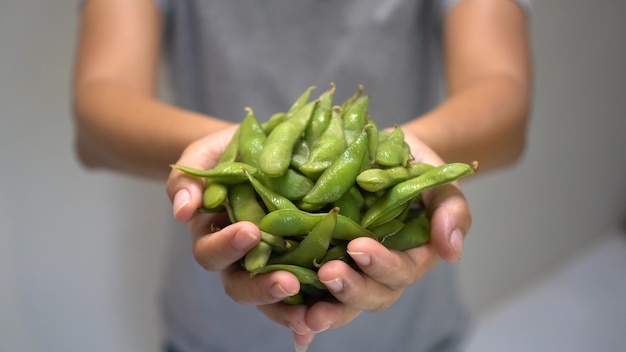 日本の大豆を持つ女性の手