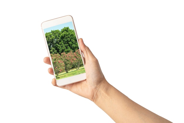 흰색 배경에 고립 된 xAtravel 풍경 사진에 휴대 전화를 들고 여자 손