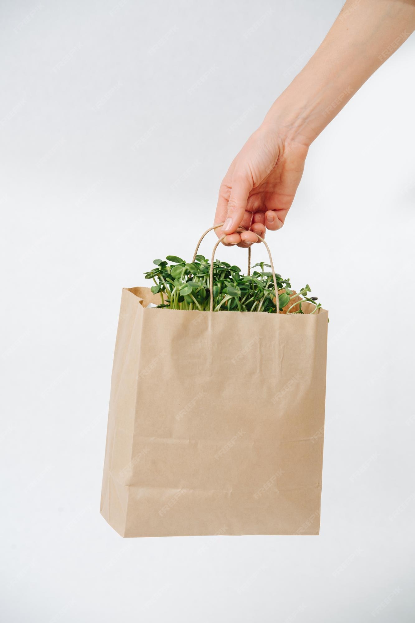 Premium Photo | Woman hand holding a paper bag with plant bed sticking of it. white background. eco friendly compostable product.