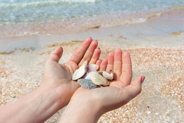 Mano della donna che tiene una conchiglia sulla spiaggia.