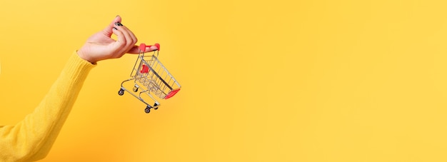 Woman hand holding small tiny shopping cart trolley