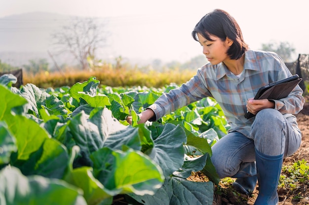 Mano della donna che tiene smartphone che controlla verdura in giardino
