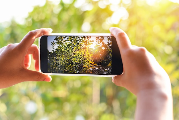 自然の緑の木と夕日のボケ背景の写真を撮るスマートフォンを持つ女性の手/携帯電話の写真とビデオ