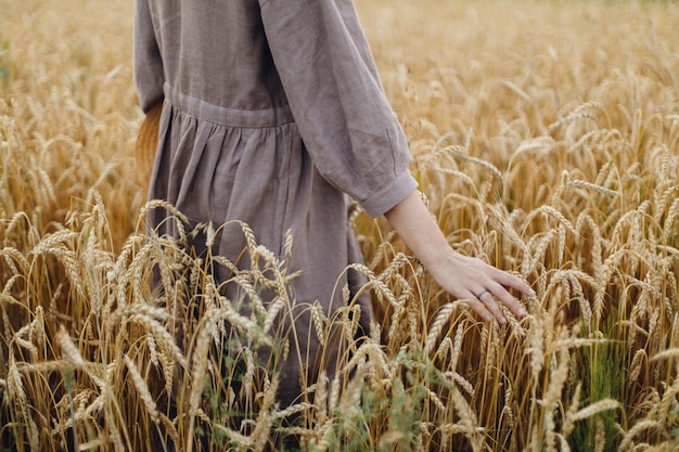 Woman hand holding wheat stems in field crop view Rural slow life Grain harvest