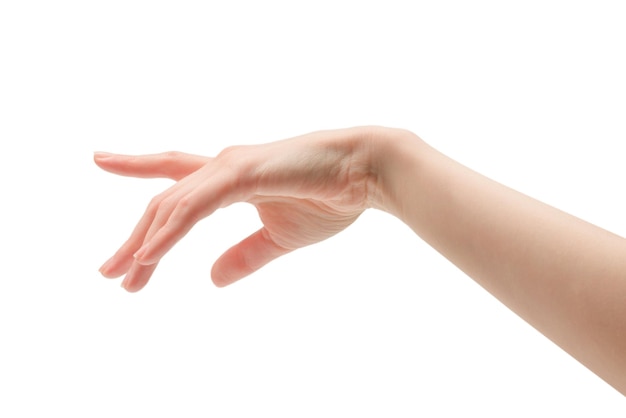 Woman hand isolated on a white background