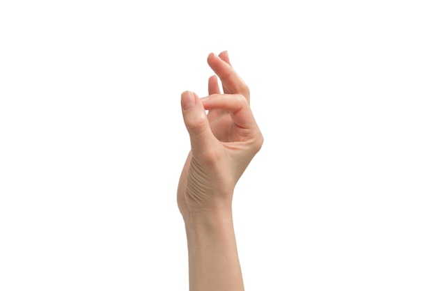 Woman hand isolated on a white background