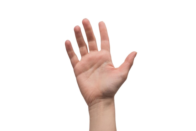 Woman hand isolated on a white background