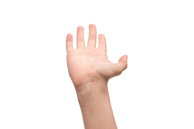 흰색 배경에 고립 된 여자 손