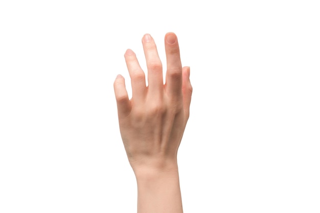 Woman hand isolated on a white background