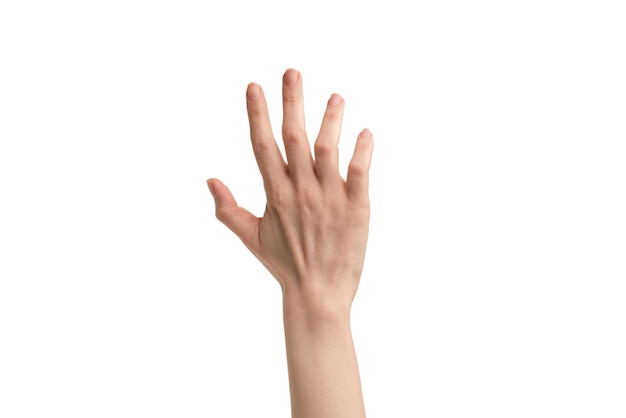 Woman hand isolated on a white background