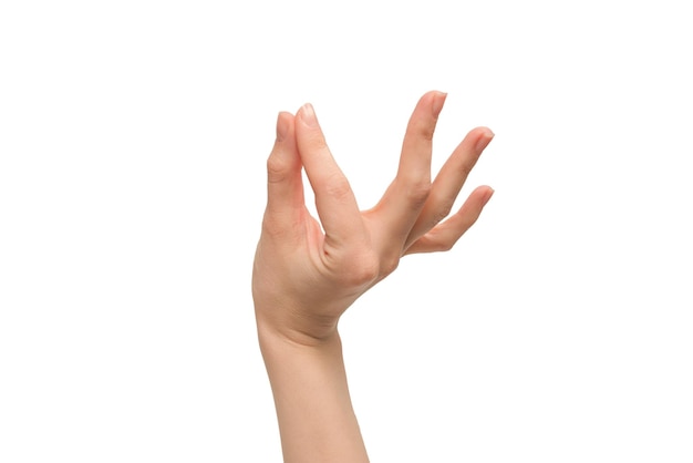 Woman hand isolated on a white background