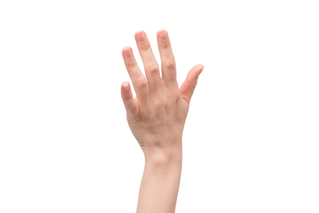 Woman hand isolated on a white background