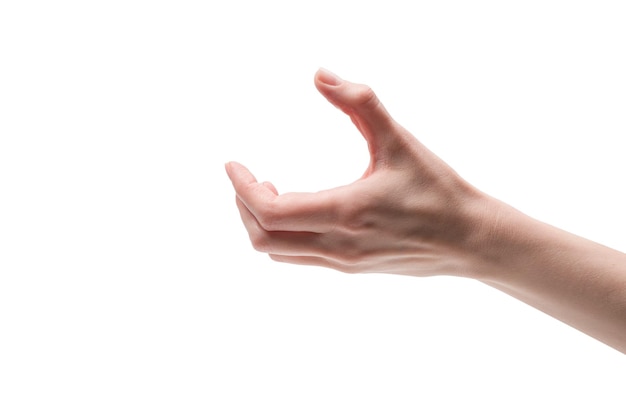 Woman hand isolated on a white background