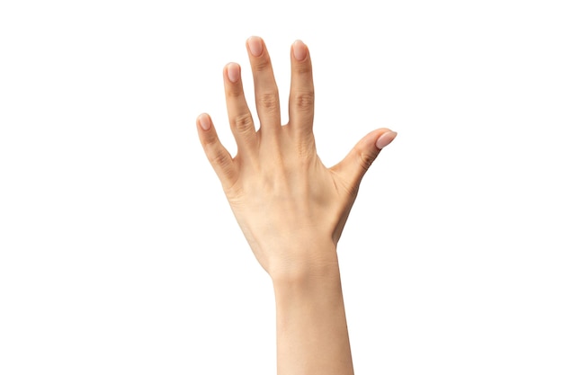 Woman hand isolated on a white background