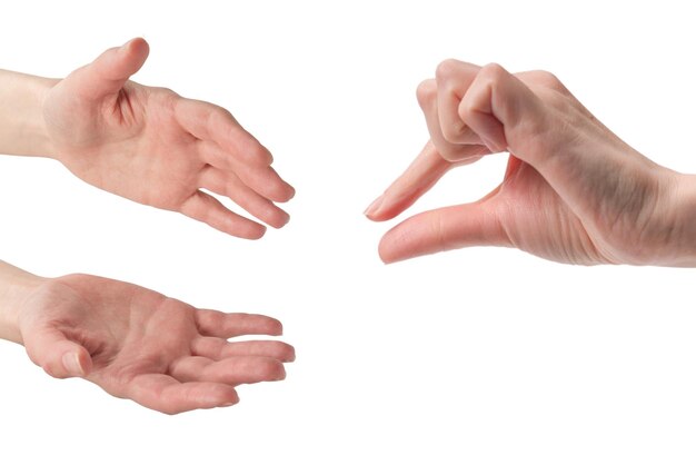 Woman hand isolated on a white background