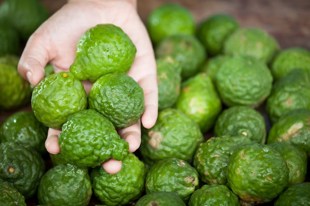 Woman hand selecting fresh bergamot