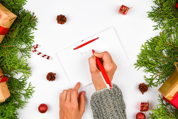 Woman hand on the space of fir branches