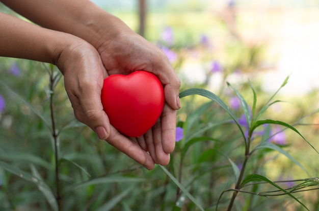 Foto cuore rosso del supporto della mano della donna, concetto di sanità