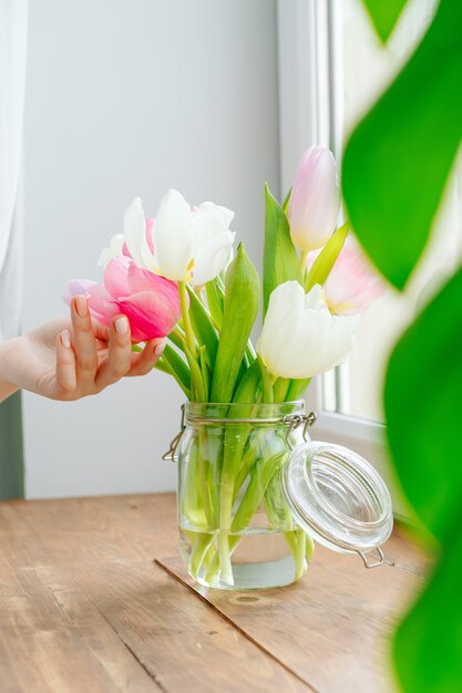 Woman hand touching buds of tulips in a vase on windowsill