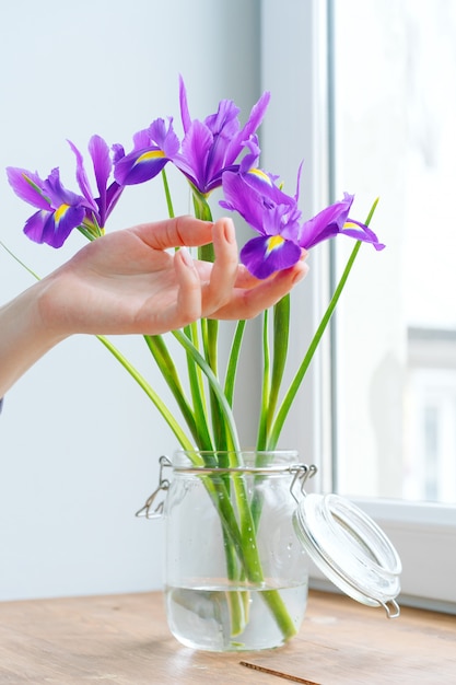 Photo woman hand touching irises in a vase on windowsill