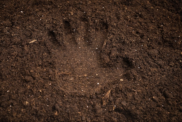 Woman hand trace on a ground. Top view.