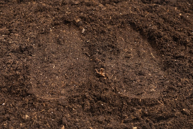 Woman hand trace on a ground. Top view.