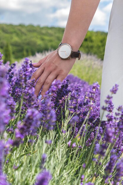 Woman hand wearing a watch and touching lavender