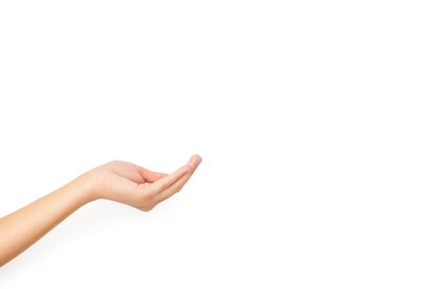 Woman hand with holding gesture on a white background and with copy space