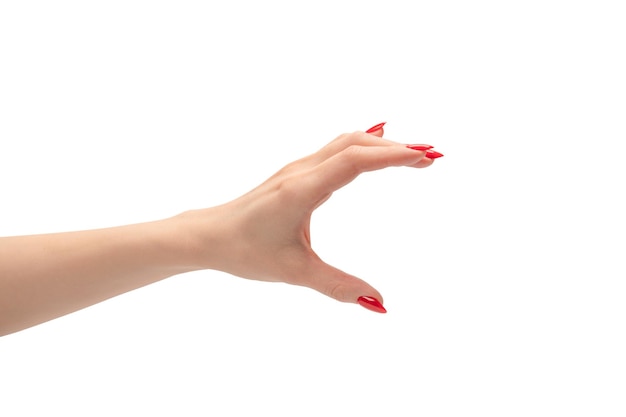 何かを保持している赤い爪を持つ女性の手