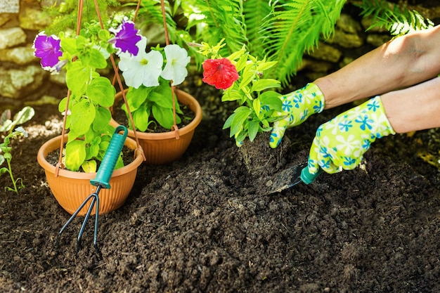 Woman hands florist working in greenhouse with gardening tools