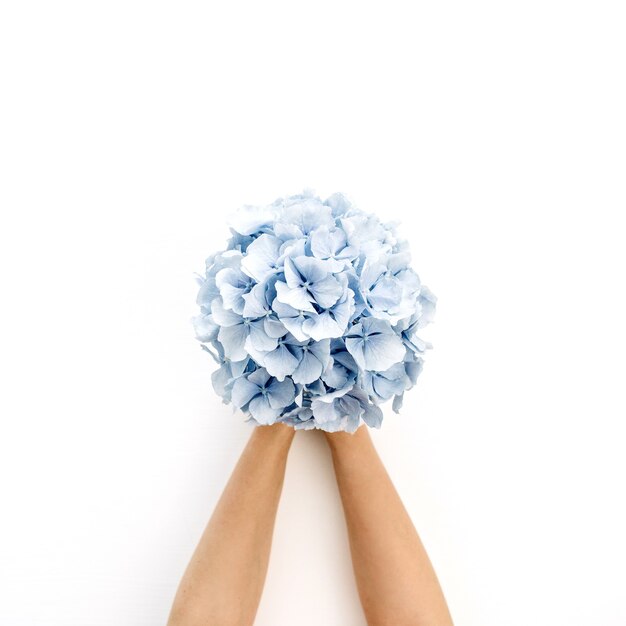 Woman hands hold blue hydrangea flower bouquet on white surface