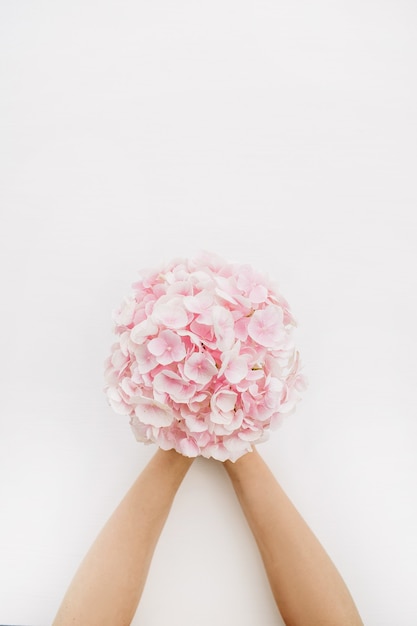 Woman hands hold pink hydrangea flower bouquet on white surface