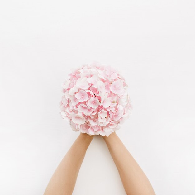 Woman hands hold pink hydrangea flower bouquet on white surface